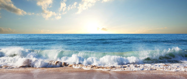 Bon estiu! / ¡Feliz verano!