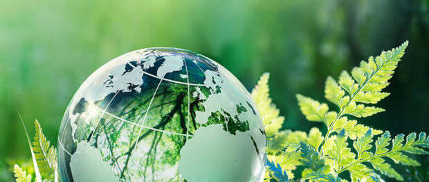 Proper 7d10: “L’ecologia integral, la moda del segle XXI?”